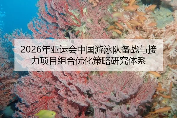 nian-ya-yun-hui-zhong-guo-you-yong-dui-bei-zhan-yu-jie-li-xiang-mu-zu-he-you-hua-ce-lve-yan-jiu-ti-xi-2-101.jpg