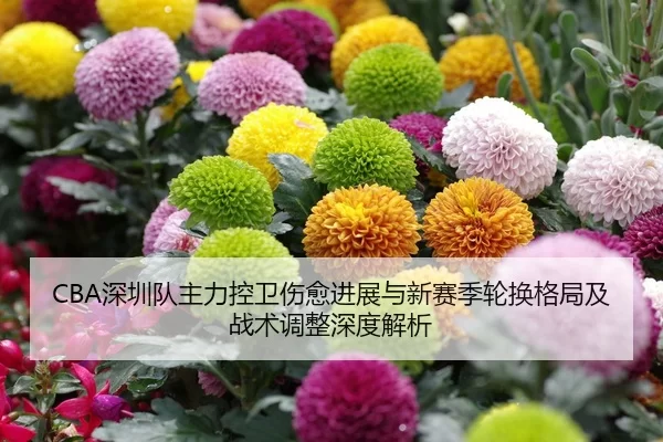 shen-zhen-dui-zhu-li-kong-wei-shang-yu-jin-zhan-yu-xin-sai-ji-lun-huan-ge-ju-ji-zhan-shu-tiao-zheng-shen-du-jie-xi-2-890.jpg