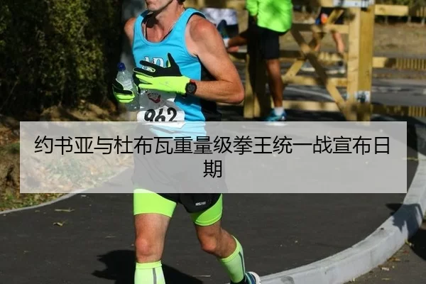 约书亚与杜布瓦重量级拳王统一战宣布日期